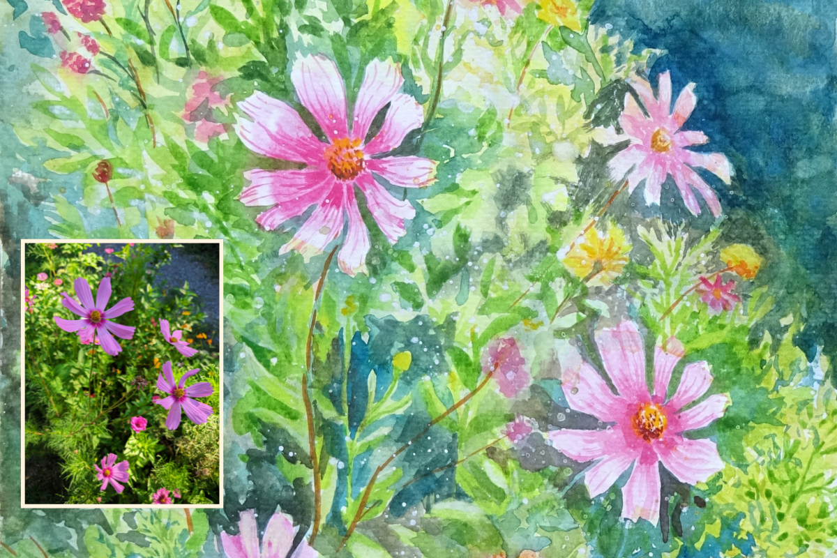 From Garden to Paper