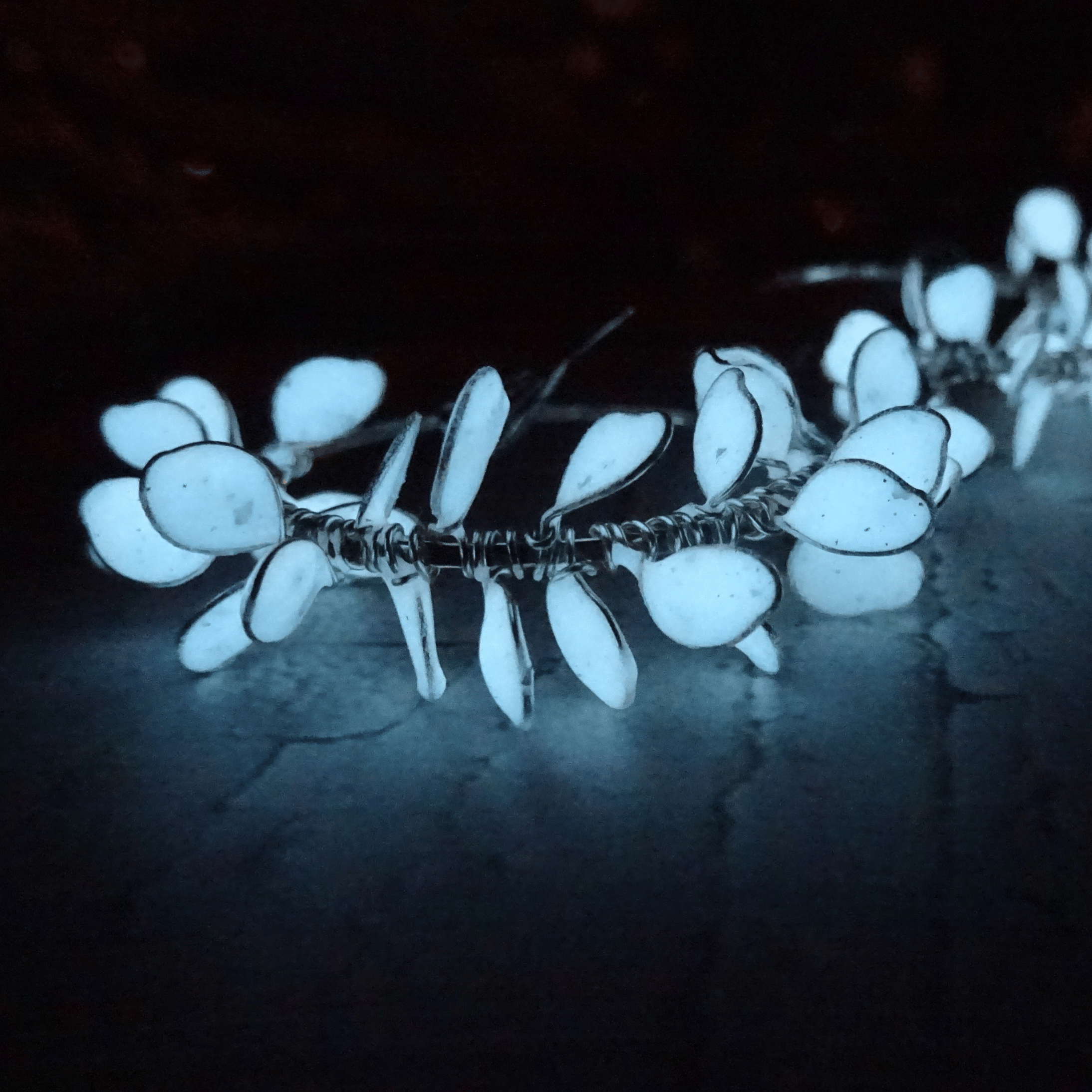 White glow petals earrings